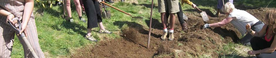 digging